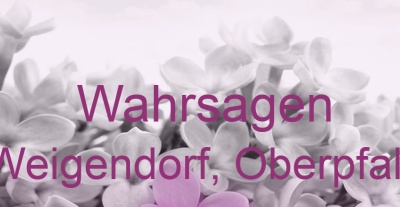 Wahrsagen Weigendorf, Oberpfalz | Top-Experten für Kartenlegen, Wahrsagen, Hellsehen, Zukunftsdeutung. Wahrsagen Weigendorf, Oberpfalz | Top-Experten für Kartenlegen, Wahrsagen, Hellsehen, Zukunftsdeutung.